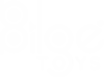 BilgeToys Logo